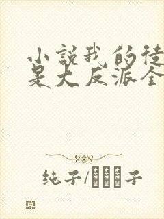 小说我的徒弟都是大反派全篇