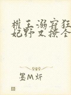 权王溺宠狂傲王妃野又撩全文免费阅读