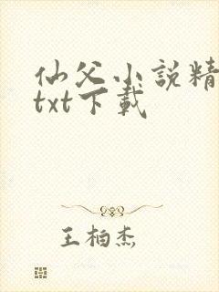 仙父小说精校版txt下载