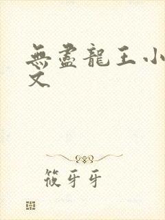 无尽龙王小说原文