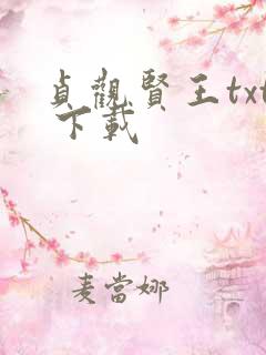 贞观贤王txt 下载