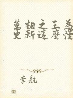 万相之王为什么更新这么慢