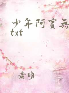 少年阿宾无删减txt