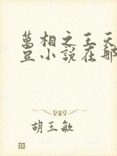 万相之王天蚕土豆小说在那里更新