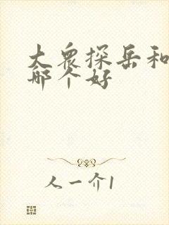 大众探岳和揽巡哪个好