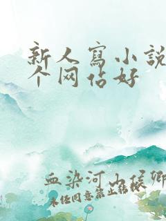 新人写小说去哪个网站好