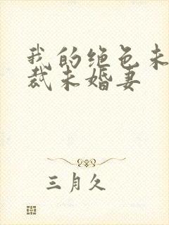 我的绝色未婚总裁未婚妻