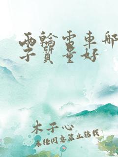 两轮电车哪个牌子质量好