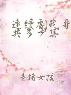 连续剧我哥我嫂共多少集