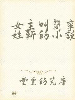 女主叫简宁男主姓靳的小说