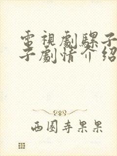 电视剧骡子和金子剧情介绍