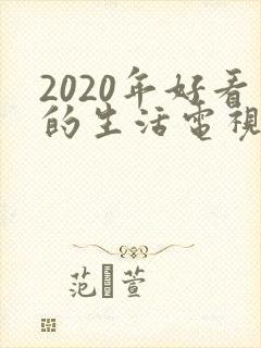 2020年好看的生活电视剧