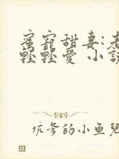 蜜宠甜妻:老公轻轻爱 小说