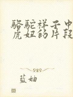 骆驼祥子中描写虎妞的片段