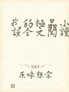 我的极品小姨小说全文阅读免费