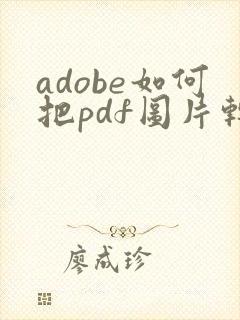adobe如何把pdf图片转成jpg