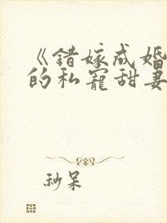 《错嫁成婚总裁的私宠甜妻》