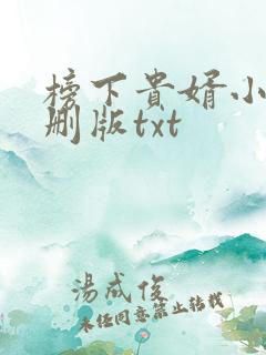 榜下贵婿小说未删版txt