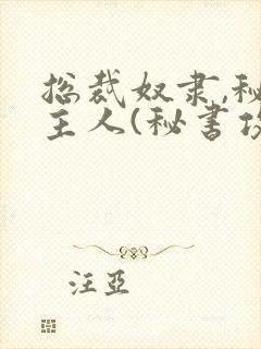 总裁奴隶,秘书主人(秘书攻x总裁受)