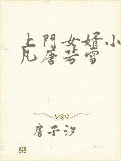 上门女婿小说叶凡唐若雪