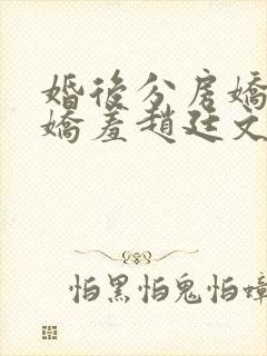 婚后分房娇夫别娇羞赵廷文方允免费阅读