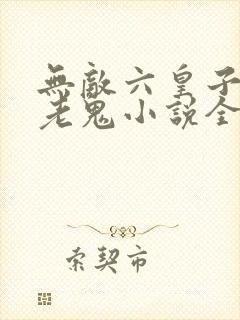 无敌六皇子梁山老鬼小说全集精校版下载