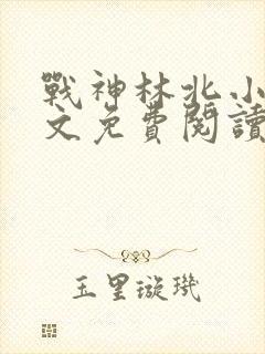 战神林北小说全文免费阅读