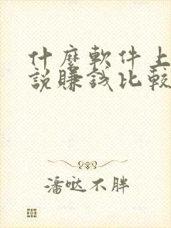 什么软件上写小说赚钱比较多