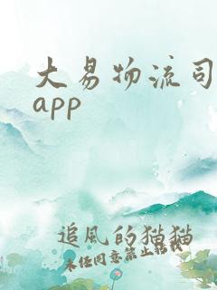大易物流司机版app