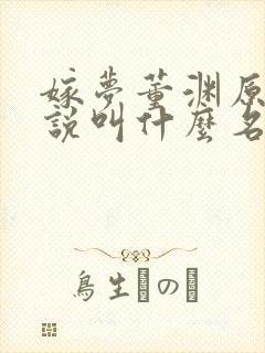 嫁梦董渊原著小说叫什么名字