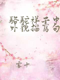 骆驼祥子中虎妞外貌描写句子(原文)