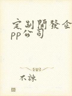 定制开发企业app公司