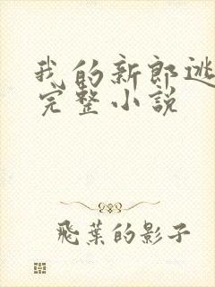 我的新郎逃婚了完整小说