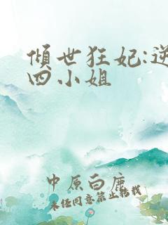 倾世狂妃:逆天四小姐