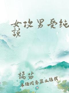 女攻男受纯爱小说