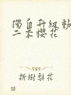 独自升级动漫第二季樱花