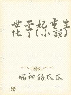 世子妃重生后黑化了(小说)