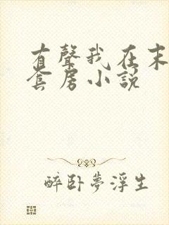 有声我在末世有套房小说