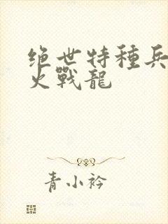 绝世特种兵之浴火战龙