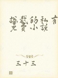 总裁的私有宝贝免费小说