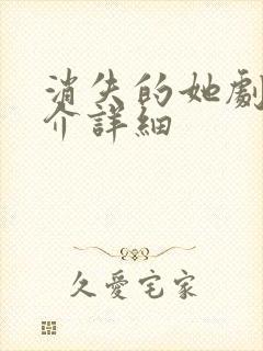 消失的她剧情简介详细