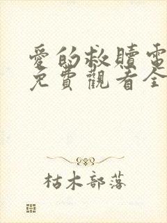 爱的救赎电视剧免费观看全集高清