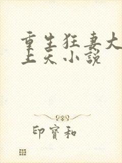 重生狂妻大佬宠上天小说