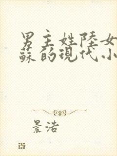 男主姓陆女主姓苏的现代小说