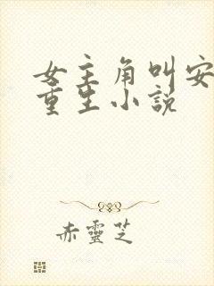 女主角叫安夏的重生小说