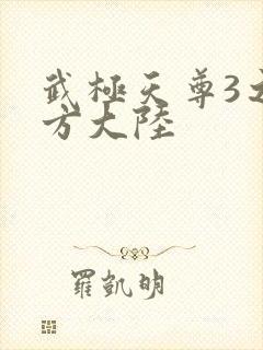 武极天尊3之魔方大陆