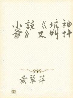 小说《坑神祖师爷》又叫什么