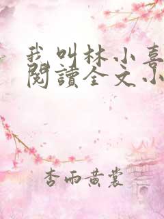 我叫林小喜免费阅读全文小说