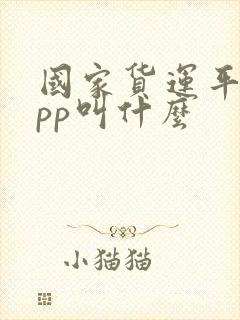 国家货运平台app叫什么