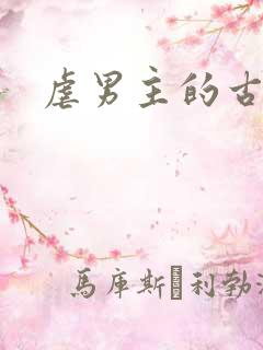 虐男主的古言